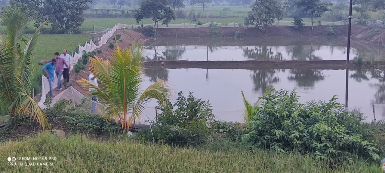 आजीविका डबरी निर्माण