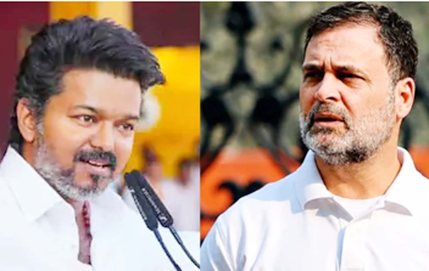 राहुल गांधी ही होंगे 2029 में पीएम उम्मीदवार, टीवीके प्रमुख विजय ने दिया समर्थन